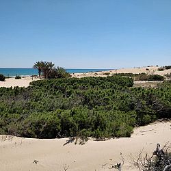 Playa del Moncayo: afbeelding 1